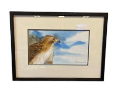 D. VAN FOSSER ORIGINAL WATERCOLOR ON PAPER OF A RED TAIL HAWK DATED 2014