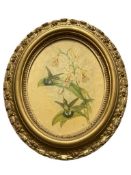 JOHN GOULD FAMOUS HUMMINGBIRD AND FLOWER ILLUSTRATION PRINT ON BOARD