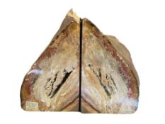 CHRISTMAS TREE AGATE POLISHED STONE BOOKENDS, STONE FOUND IN BLACK ROCK DESERT, NEVADA