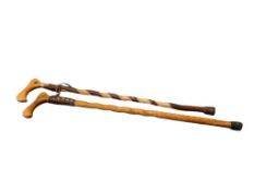 BRAZOS TRADITIONAL TWISTED SASSAFRAS AND HICKORY WALKING CANES