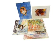 UNFRAMED ORIGINAL WATERCOLOR PAINTINGS ON PAPER BY JEANNE VERMILLION AND J. BRADEN