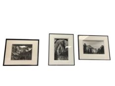 THREE ANSEL ADAMS PROLIFIC PHOTOGRAPHER BLACK AND WHITE LANDSCAPE / NATIOANL PARK PHOTO-PRINTS