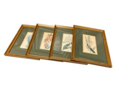 FOUR SYDENHAM EDWARDS HAND COLORED BOTANICAL BOOK PLATES THE CURTIS PUBLISHING CO.