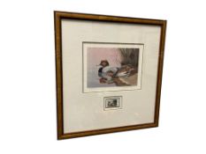 NOLAN HAAN 1986 NEVADA DUCK STAMP PRINT TITLED REDHEADS NO. 1369/2000