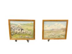 PHOEBE K. HIGGINS MONTANA BORN, NEVADA ARTIT ORIGINAL OIL PAINTINGS ON CANVAS