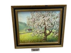 GENEVIEVE CLIBBORN WASHINGTON BORN CALIFORNIA ARTIST ORIGINAL ON BOARD TREE STUDY PAINTING