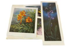 STEPHEN LYMAN LIMITED ED COMPLETE SET OF WILDFLOWER SUITE PRINTS PUBLISHED BY GREENWICH WORKSHOP