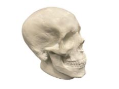 CERAMIC MALE SKULL DECOR PIECE