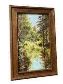 JEAN GALLETTI LOCAL RENO, NEVADA ARTIST ORIGINAL OIL ON CANVAS PAINTING RIVER SCENE