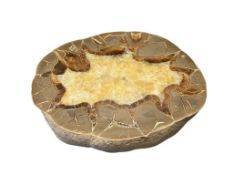 POLISHED SEPTARIAN NODULE SLAB GEODE GEOLOGICAL SPECIMEN