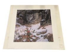 SIGNED AND NUMBERED STEPHAN LYMAN LIMITED EDITION PRINT OF A LYNX NAMED SECRET WATCH