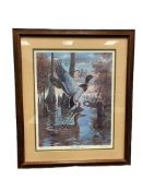 RANDY MCGOVERN REKNOWN AMERICAN WILDLIFE ARTIST LIMITED EDITION PRINT TITLED AUTUMN MALLARDS