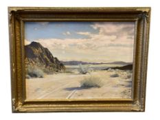 STEPHEN WILLARD CALIFORNIA / ILLINOIS ARTIST HAND EMBELLISHED / COLORED PHOTOGRAPH DESERT LANDSAPE