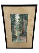 LORENZO P. LATIMER PROLIFIC CALIFORNIA ARTIST ORIGINAL WATERCOLOR ON PAPER FOREST SCENE DATED 1898