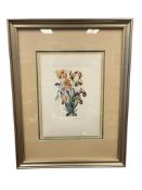 SALVADOR DALI RENOWN SURREALIST ARTIST SIGNED LIMITED EDITION DRYPOINT ETCHING FLORDALI SERIES