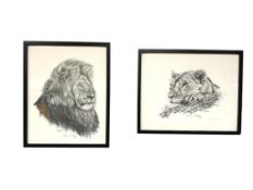 PAIR OF LION AND LIONESS OFFSET LITHOGRAPHS BY LORAINE SHARPLES
