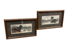 R. SALINAS BLACK LABRADOR RETRIEVER AND DUCKS WILDLIFE LIMITED EDITION PRINTS