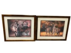 LINDA LEMON SAFARI ANIMAL ARTIST PRINTS BIG FIVE AND KUDU ANTELOPE PRINTS