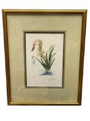 SALVADOR DALI REPRODUCTION LIMITED EDITION BOTANICAL PRINT WATER HIBISCUS AND SWAN FROM LE FLEUR