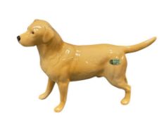 1958-1967 BESWICK SOLOMON OF WENDOVER GOLDEN LABRADOR RETRIEVER BONE CHINA FIGURINE