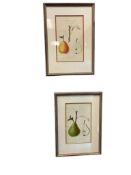VINTAGE BOTANICAL / FRUIT VINTAGE ILLUSTRATIONS WITH SCIENTIFIC NAME OF DIFFERENT PEARS