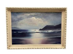 GEORGE CARTER PROLIFIC RENO, NV ARTIST ORIGINAL PAINTING ON CANVAS SEASCAPE