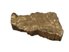 NATURAL AND POLISHED PETRIFIED WOOD GEOLOGICAL SPECIMEN SAMPLE