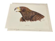 WILLIAM PETERS LIMITED EDITON PRINT TITLED GOLDEN EAGLE NO. 208/500