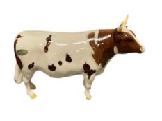 BESWICK ENGLISH POTTERY HAND PAINTED PORCELAIN AYRSHIRE BULL CHAMPION WHITEHILL MANDATE