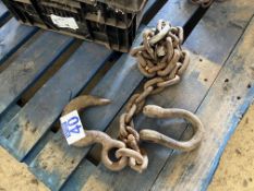 Lifting chain