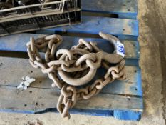 Lifting chain