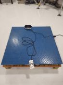 INSCALE FS445K CLASS 3 5000 LB CAPACITY 4' X 4' FLOOR SCALE