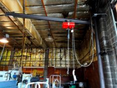 CM LODESTAR 1 TON ELECTRIC CHAIN HOIST