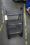 PORTABLE STEP LADDER