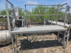 STAINLESS STEEL CATWALK W/ SAFETY RAILS 90