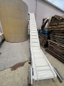 FOOD GRADE INCLINE CONVEYOR WITH 10' DISCHARGE