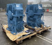 2x Elecon heavy duty worm gear units - Year: 2019 - Ratio: 20/1