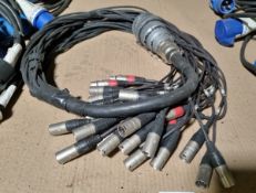 Socapex socket to 24 male xlr cables and 8 female xlr cables