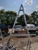 12 tread stepladder - approx 12ft in height