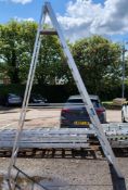11 tread stepladder - approx 11ft in height