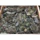 Various types of ex-military DPM accessories - 169kg – may require repair / be incomplete - see pics - Image 11 of 11