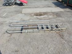 14 tread double extension ladder - approx 10ft in length