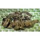 Various types of ex-military MTP accessories - 213kg – may require repair or be as spares - Image 1 of 16
