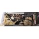 Ingersoll-Rand P180WDG portable compressor - Working pressure: 7 bar - Year: 2000 - 157 hours - Image 37 of 37