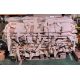 32x Neil Robertson medical stretchers - L 1500 x W 320 x H 70mm - Image 1 of 5