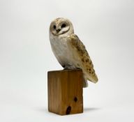 Simon Griffiths (British, b. 1971), Owl, stoneware, mounted on a wooden base. Height overall 34.