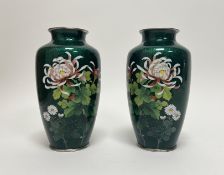 A pair of Mid Century Japanese Ginbari cloissonne vases with chrysanthemum motifs on a green