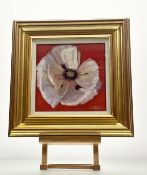 Anne Donald (Scottish 1941-), Single White Poppy, oil on canvas, signed bottom right, artist label