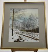 John McNulty (Irish/American 1949-), Wintery Forrest Morning, ink and wash, signed and dated 1980