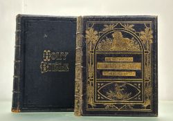 The Life & Explorations of Dr Livingstone the Great Missionary and Traveller, John G Murdoch, 46
